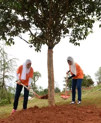 1568700036998270.png 7.png