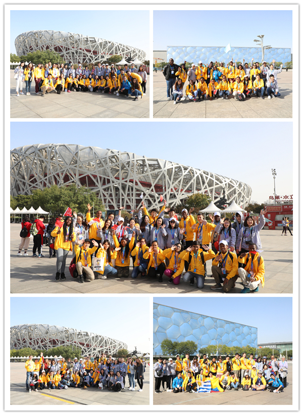 1571564305416194.jpg 1_副本.jpg