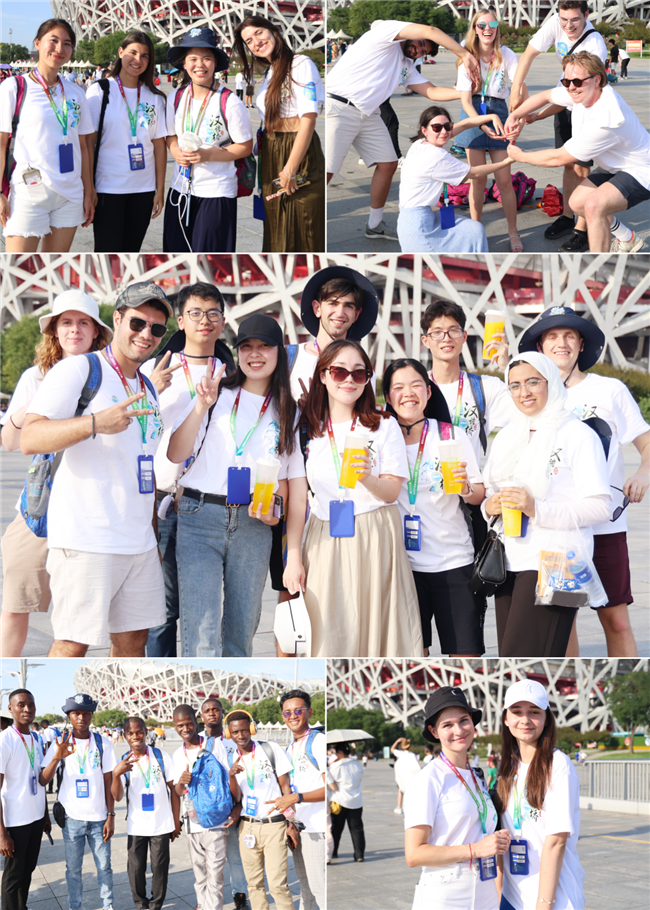 1692516341616155.png 鸟巢2.png