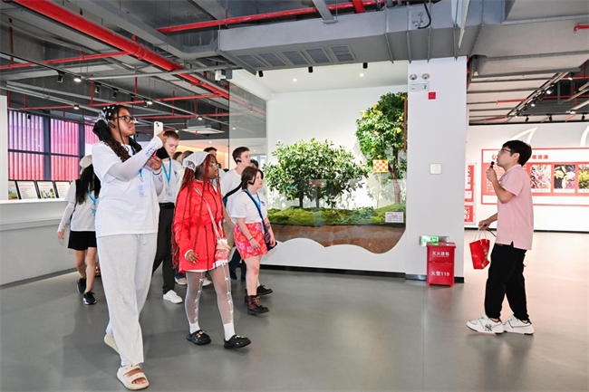 1724073650379777.png 图片 1.png