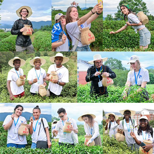 1724073680542268.jpg 03.jpg