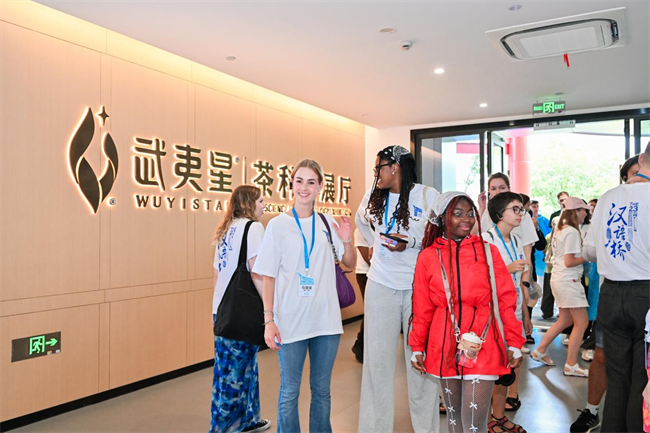 1724073720222717.png 图片 5.png