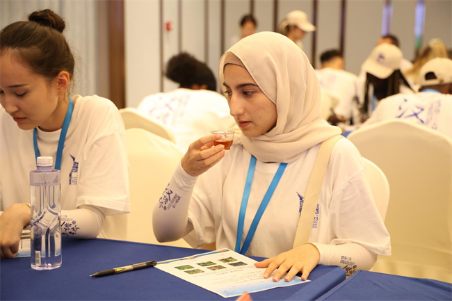 1724073803702290.png 图片 11.png