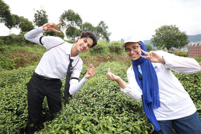 1724292202992991.png 图片 10.png