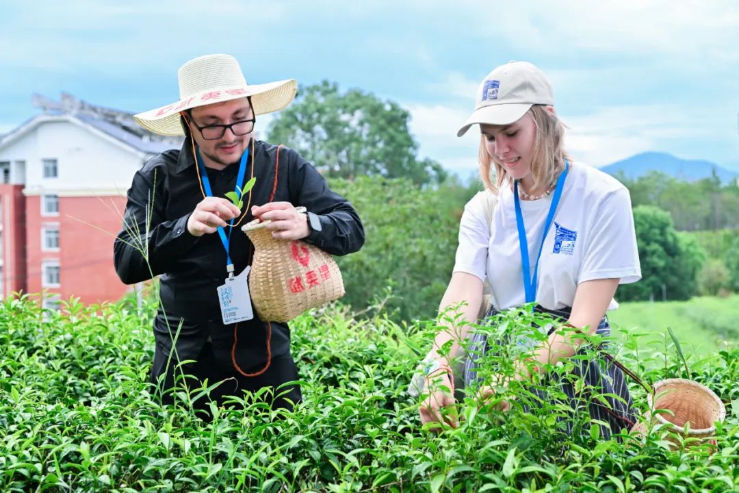 1724292520320507.jpg 1724292520320507.jpg