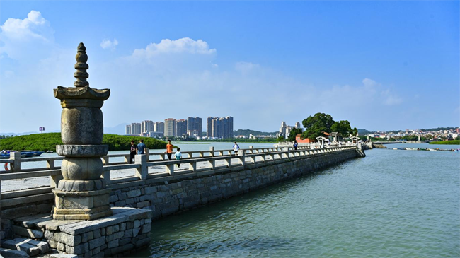 1724665261455495.png 图片 2.png