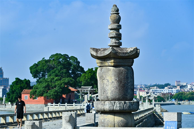 1724665322121120.png 图片 5.png