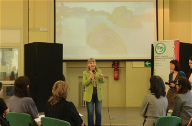 1744961650108050.png 2.png