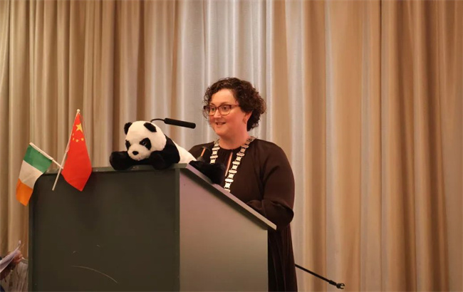 1746585462439003.jpg 42.jpg