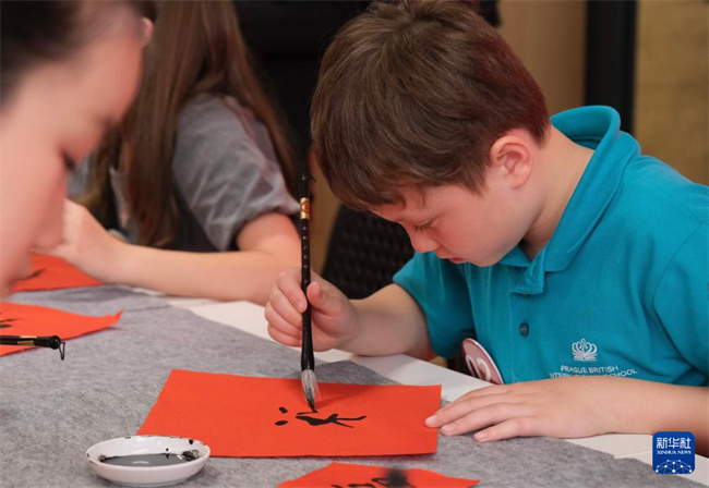 1749691369173036.jpg 1.jpg