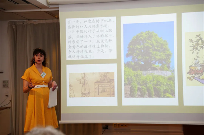 1752216128619530.jpg 640 (11).jpg