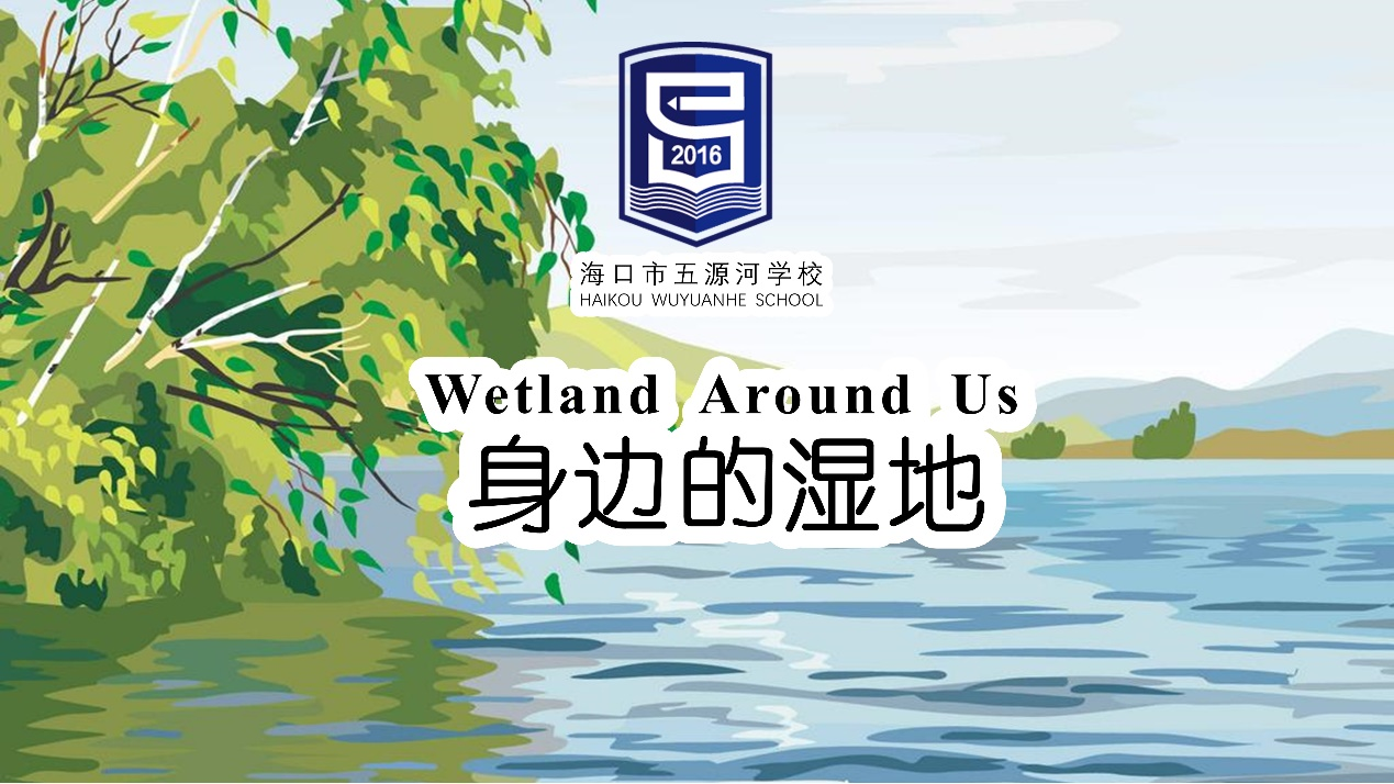 Wetland Around Us
