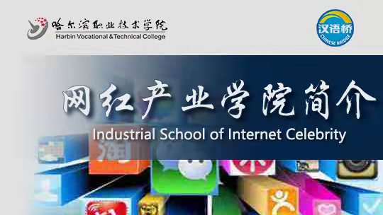 Introduction to Industrial School of Internet Celebrity