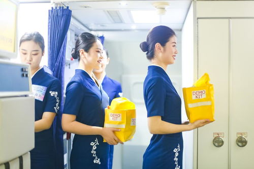 Terminologies Relating to In-flight Service and Cabin Safety