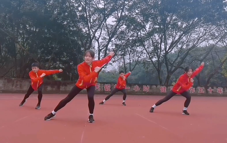 Dryland Ice and Snow Sports