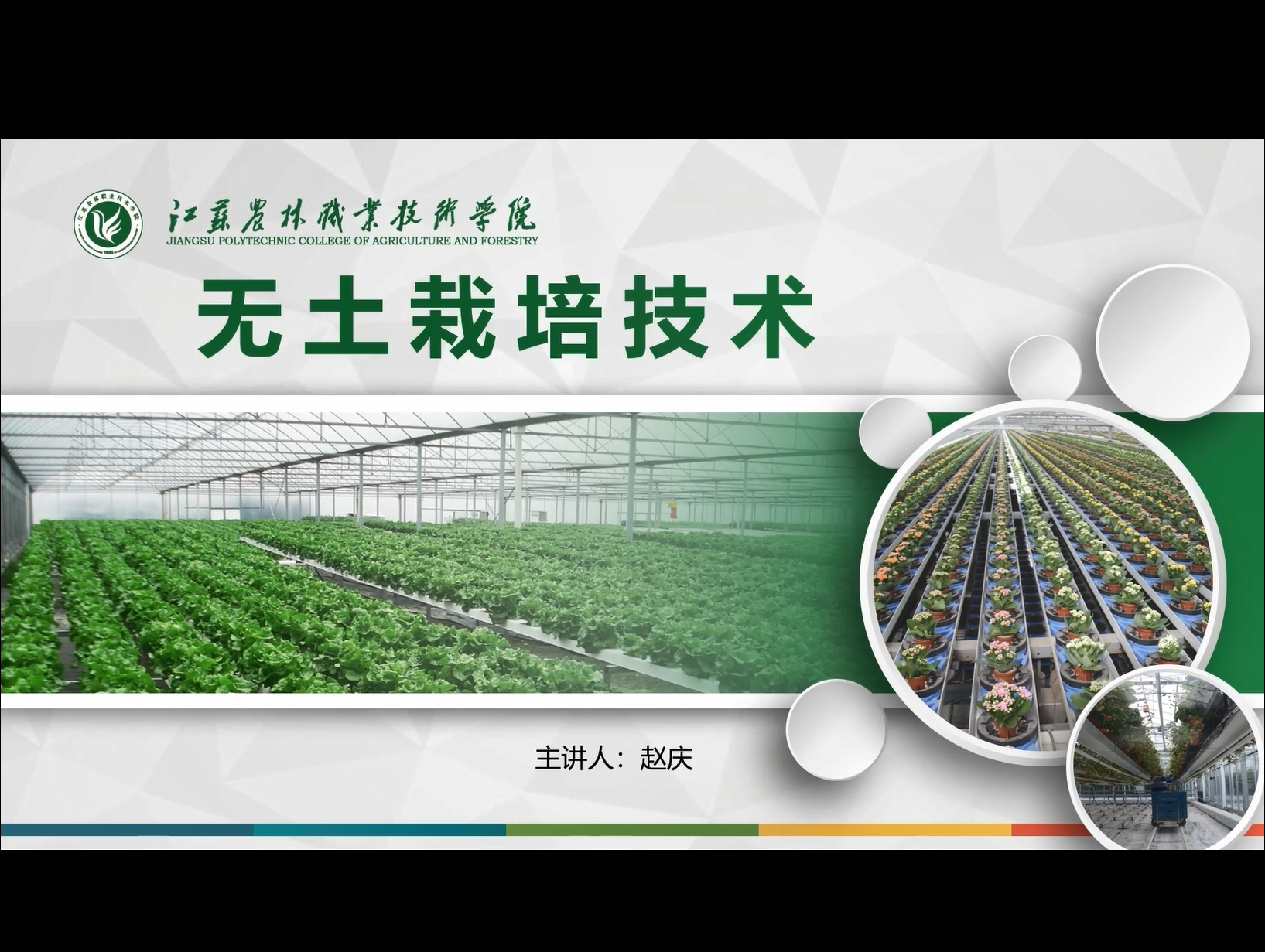 Soilless Cultivation