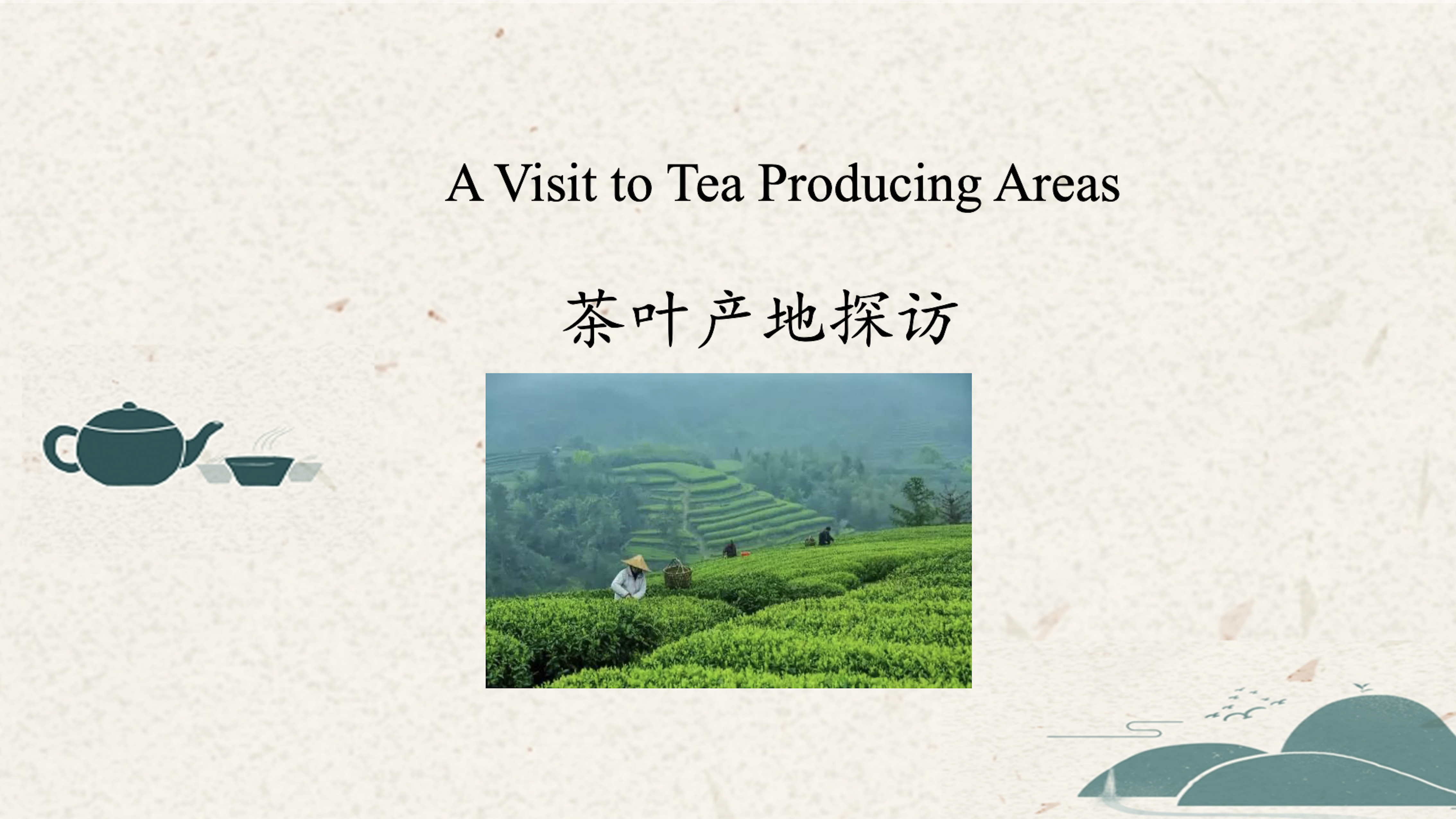 A visit to tea producing areas