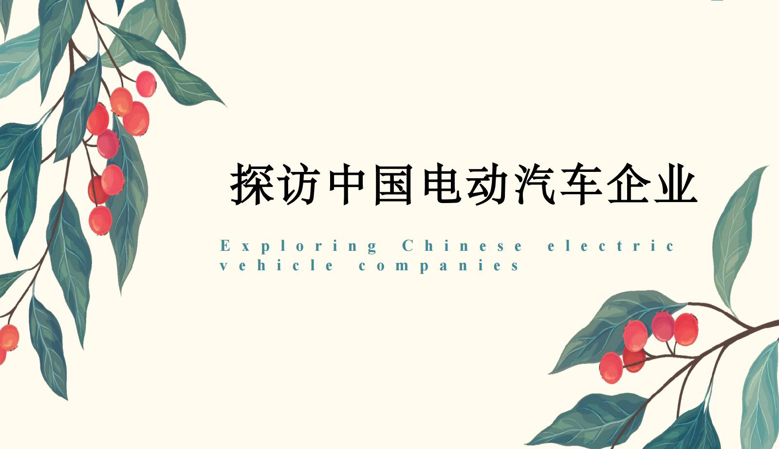 Exploring Chinese Electric Vehicle Companies
