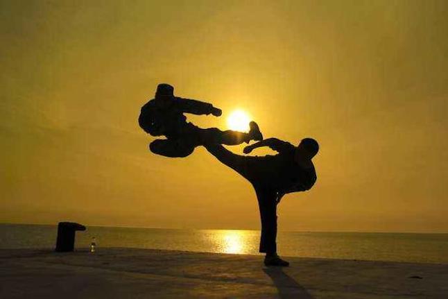 Chinese Culture Tour——Chinese Martial Arts