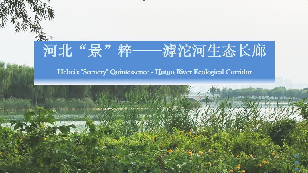 Hebei’s “Scenery” Quintessence - Hutuo River Ecological Corridor