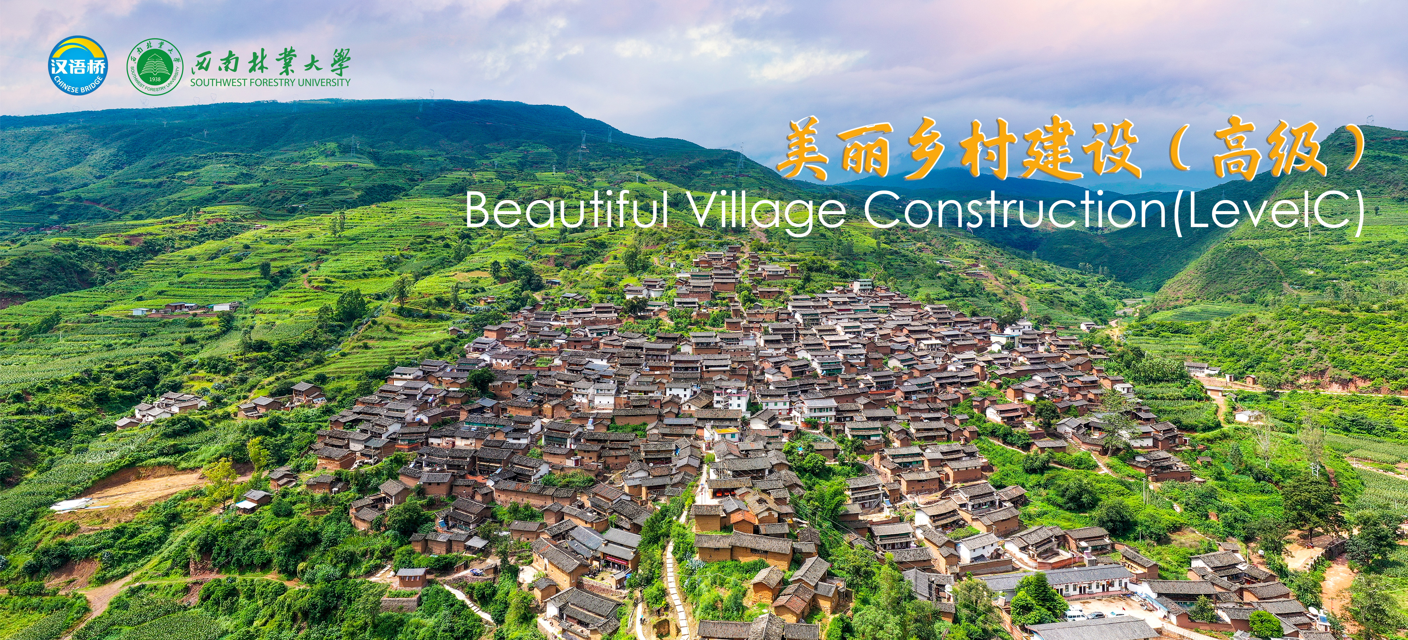 Online Video Chinese Course 4: Beautiful Village construction (Level C)