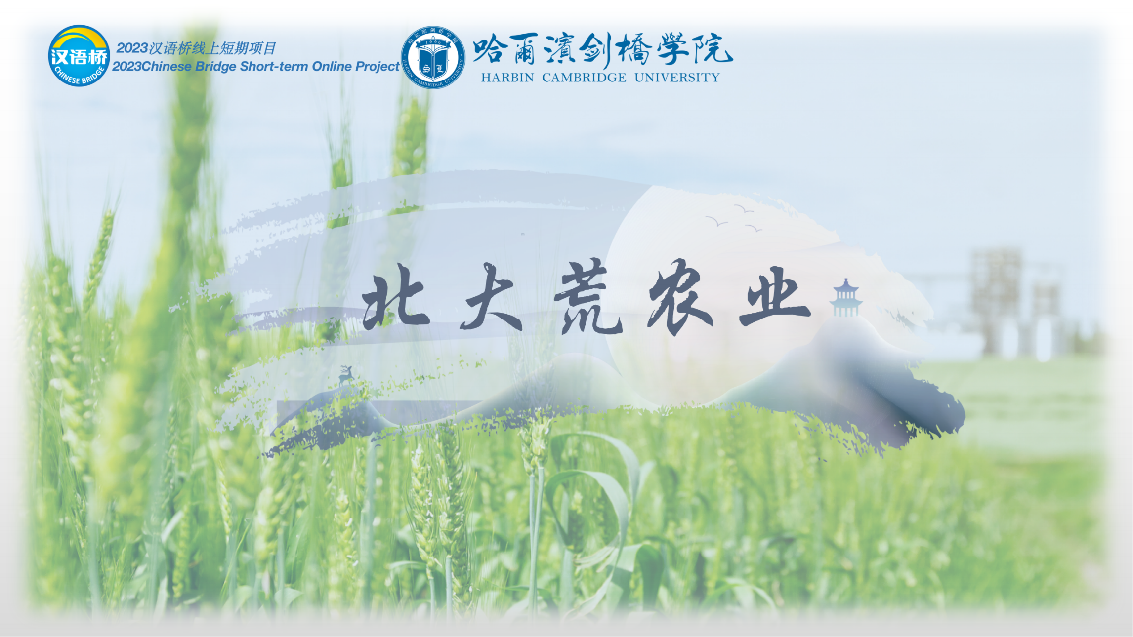 BeiDaHuang Agriculture