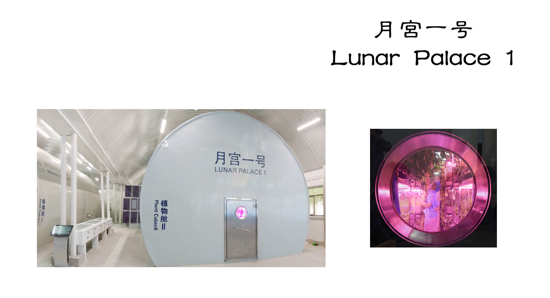 Lunar Palace 1