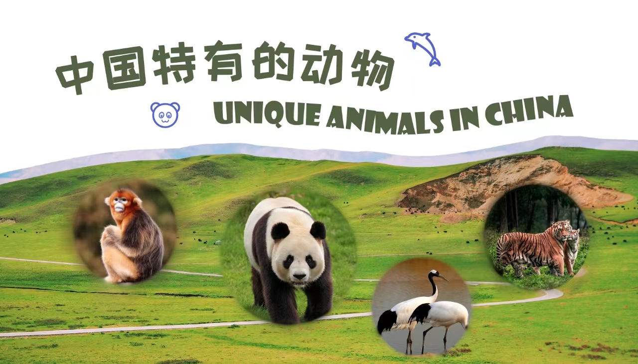 Unique Animals in China