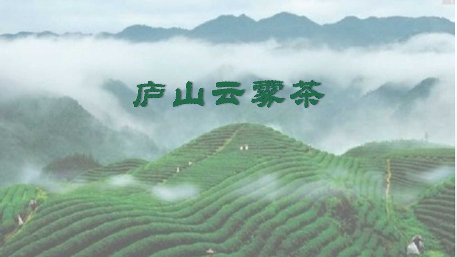 Mountain Lu Fog Tea