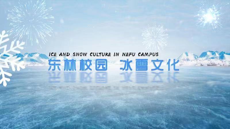 Campus of NEFU, Ice and Snow Culture