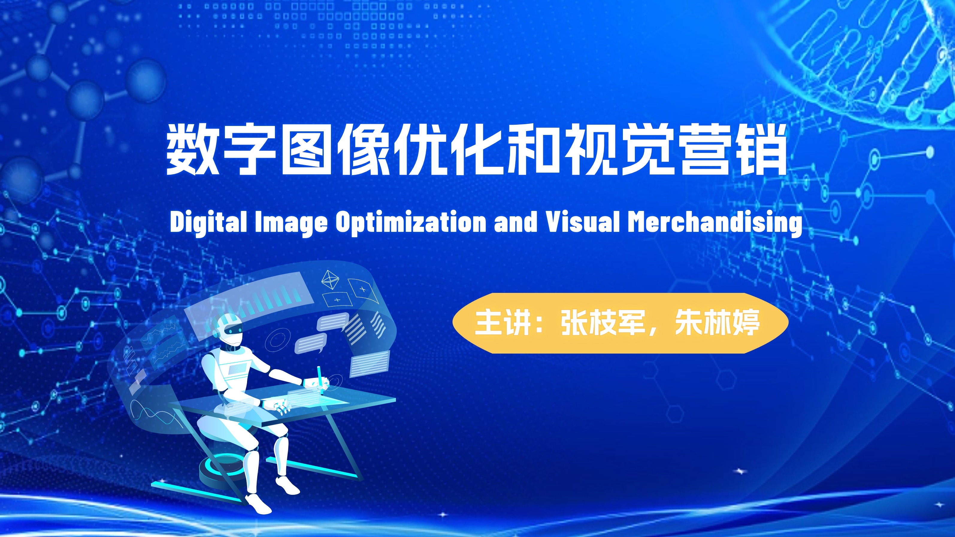 Digital Image Optimization and Visual Merchandising