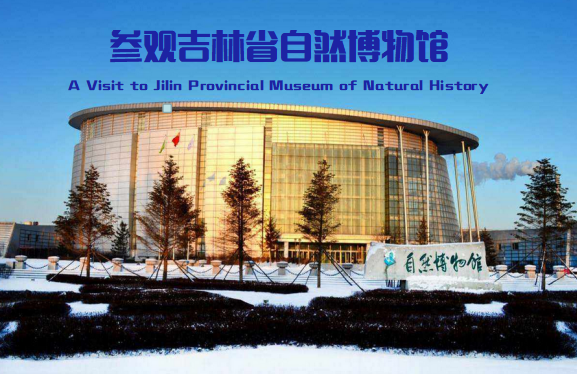 A Visit to Jilin Provincial Museum of Natural History