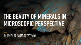 The Beauty of Minerals in Microscopic Perspective