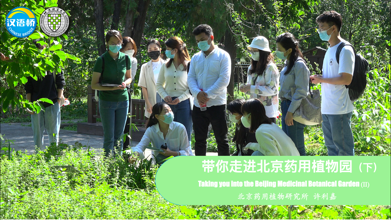 Taking you into the Beijing Medicinal Botanical Garden (Ⅱ)