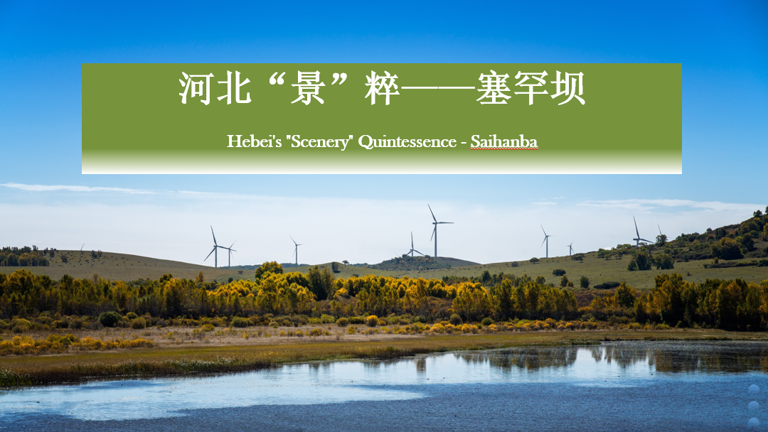 Hebei’s “Scenery” Quintessence – Saihanba