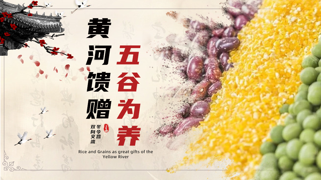 Rice and Grains as great gifts of the Yellow River