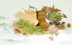 Tea culture in Traditional Chinese Medicine(TCM)