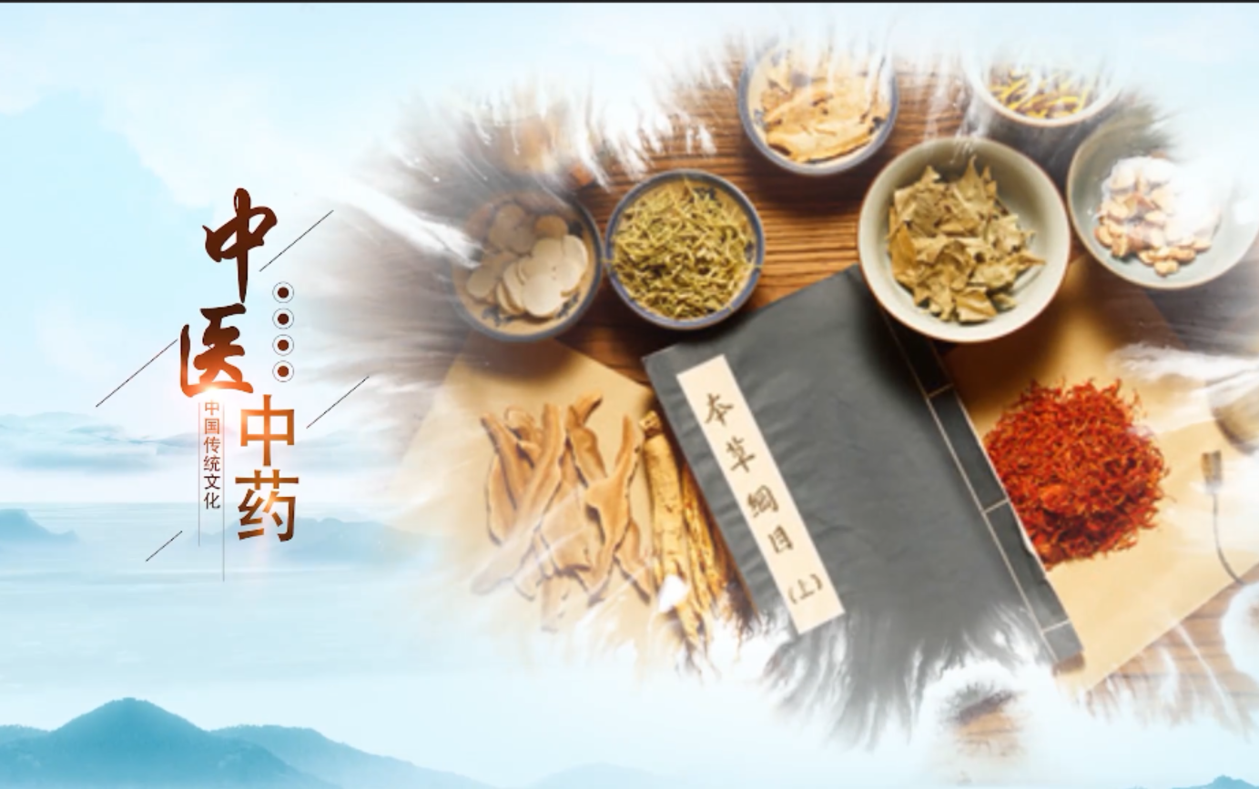 Chinese Traditional Culture—Traditional Chinese Medicine (TCM)