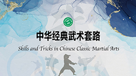 Skills and Tricks in Chinese Classic Martial Arts