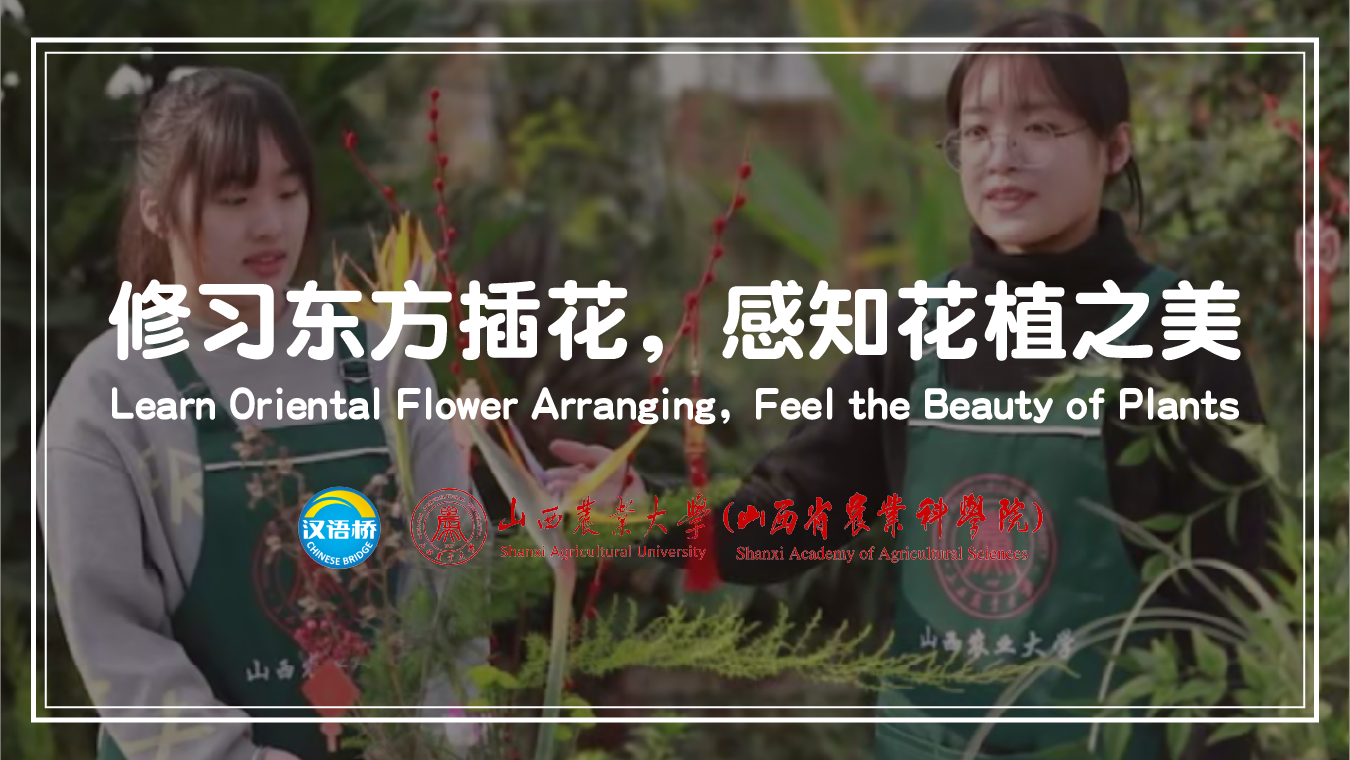 Learn Oriental Flower Arranging, Feel the Beauty of Plants