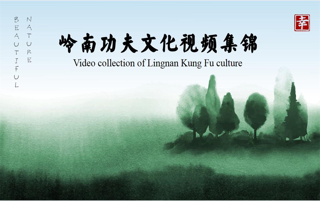 Video collection of Lingnan Kung Fu culture