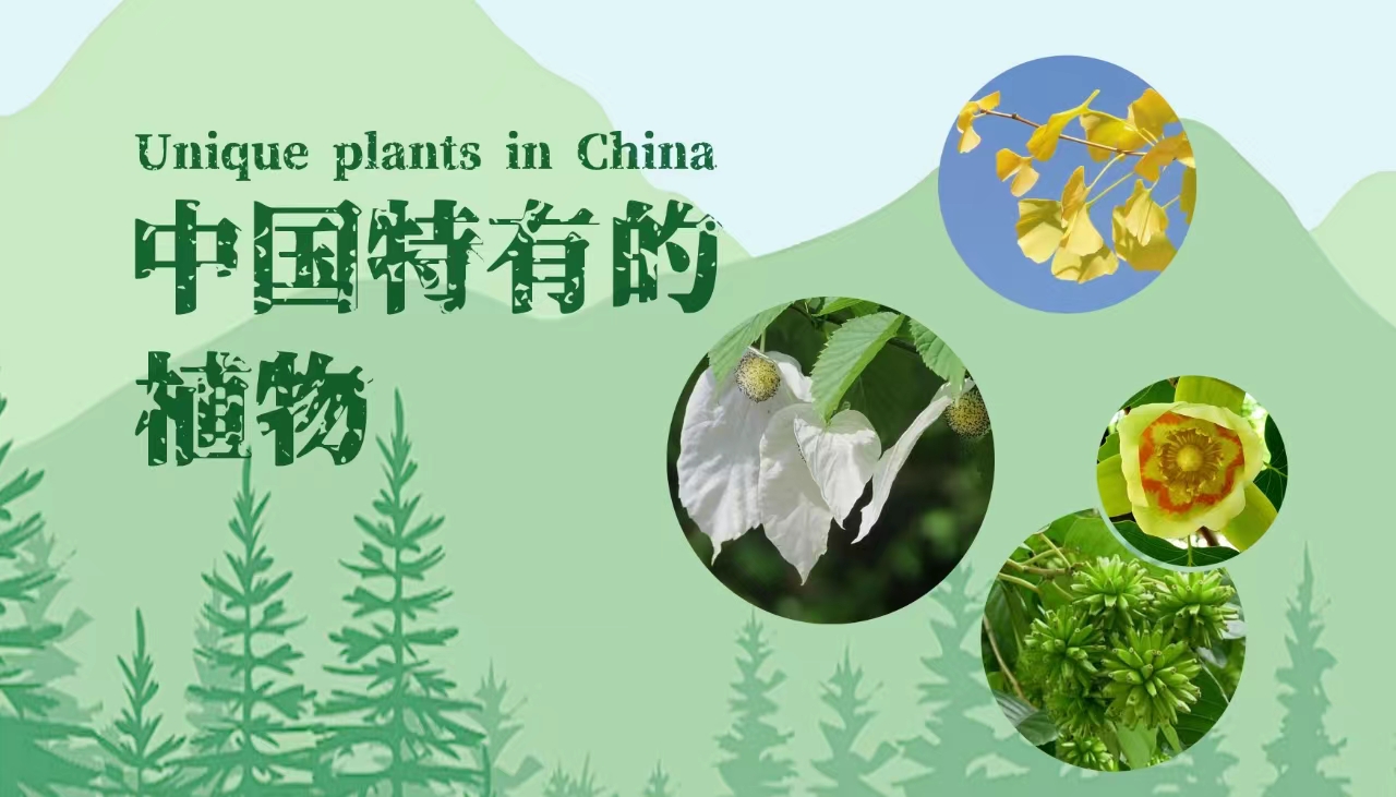 Unique Plants in China