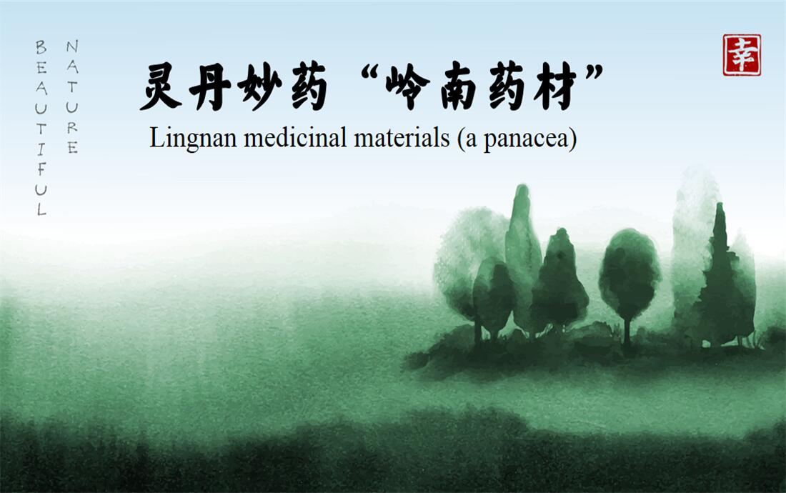 Lingnan medicinal materials (a panacea)