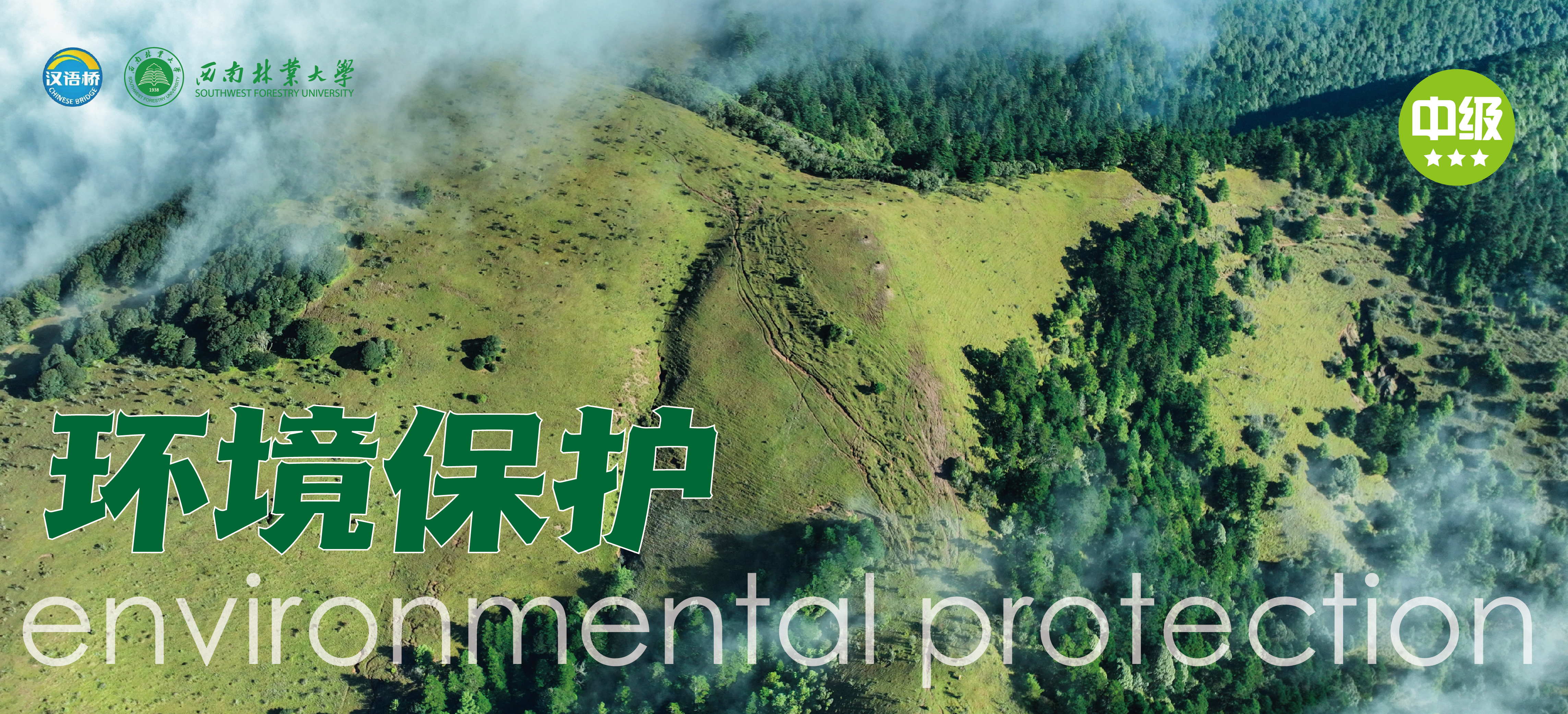 Live Online Chinese Course 4: Environmental Protection (Level B)