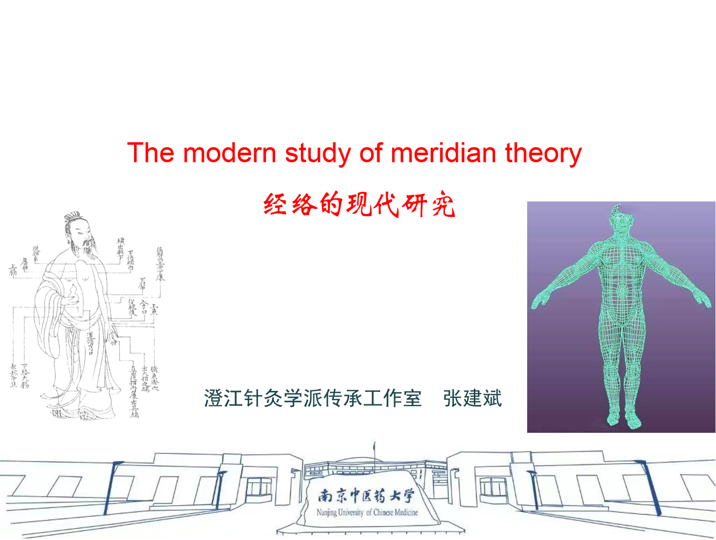 Modern research on meridian theory
