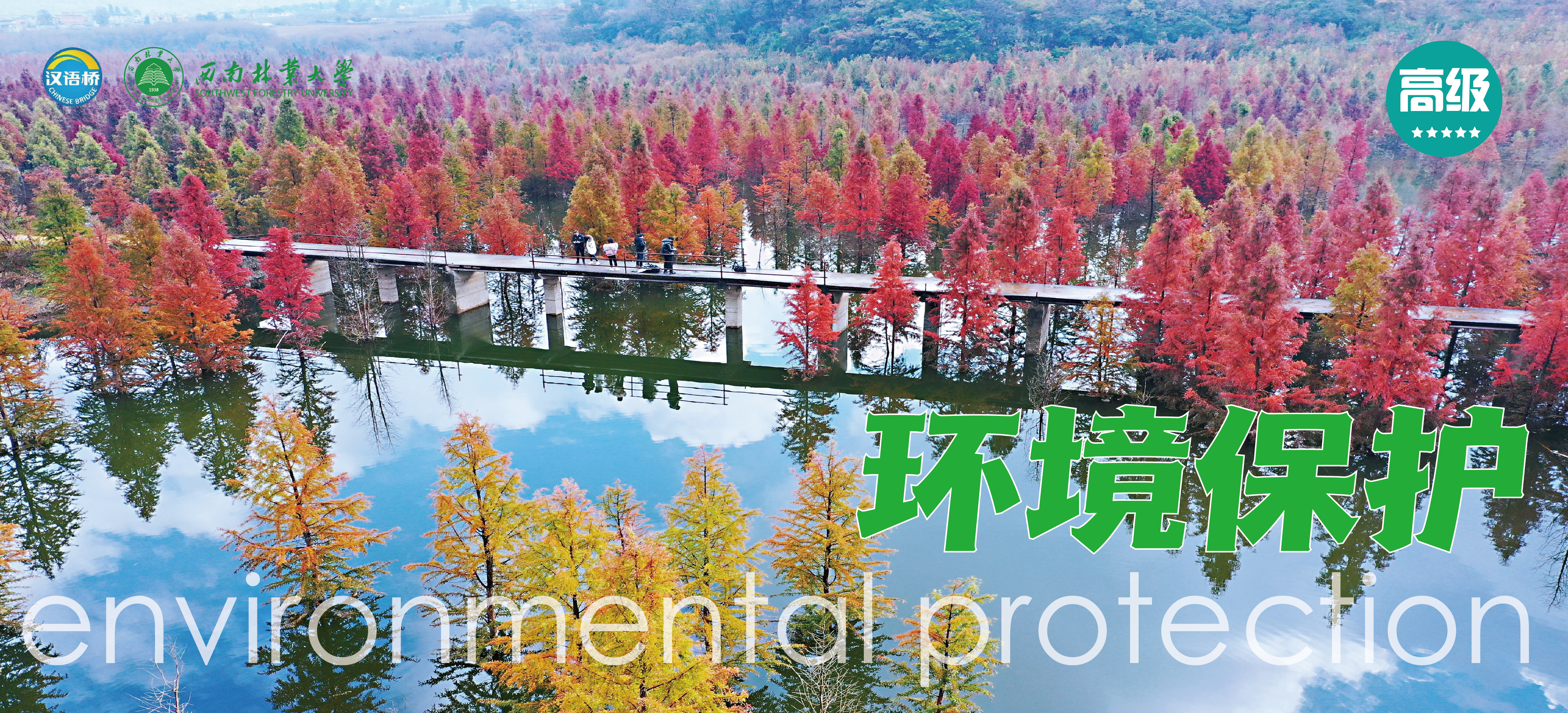 Live Online Chinese Course 4: Environmental Protection  (Level C)
