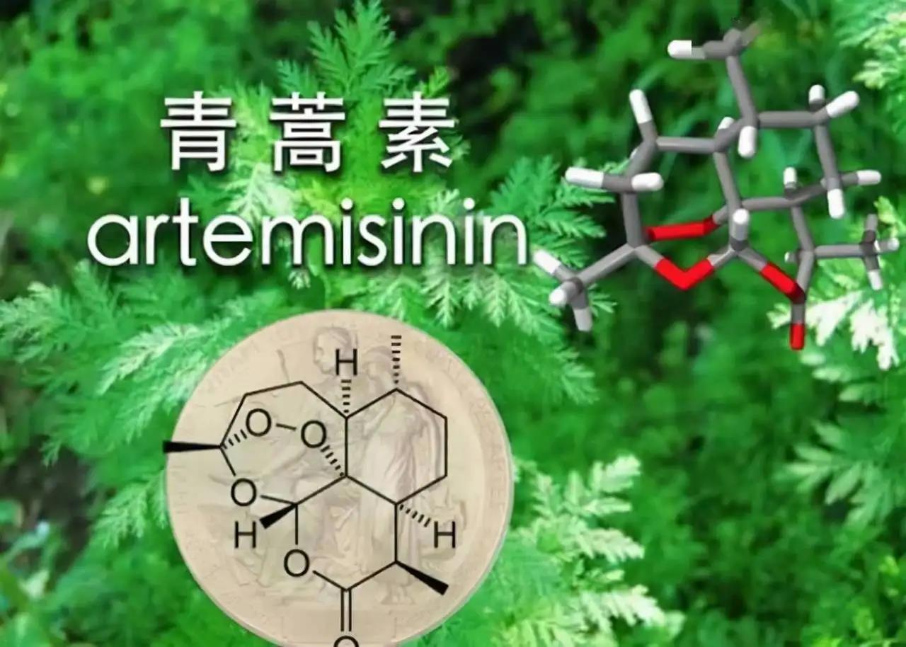 What else can TCM do? (TCM that you don’t know about) - Research and Development of Artemisinin and Modern Application of TCM