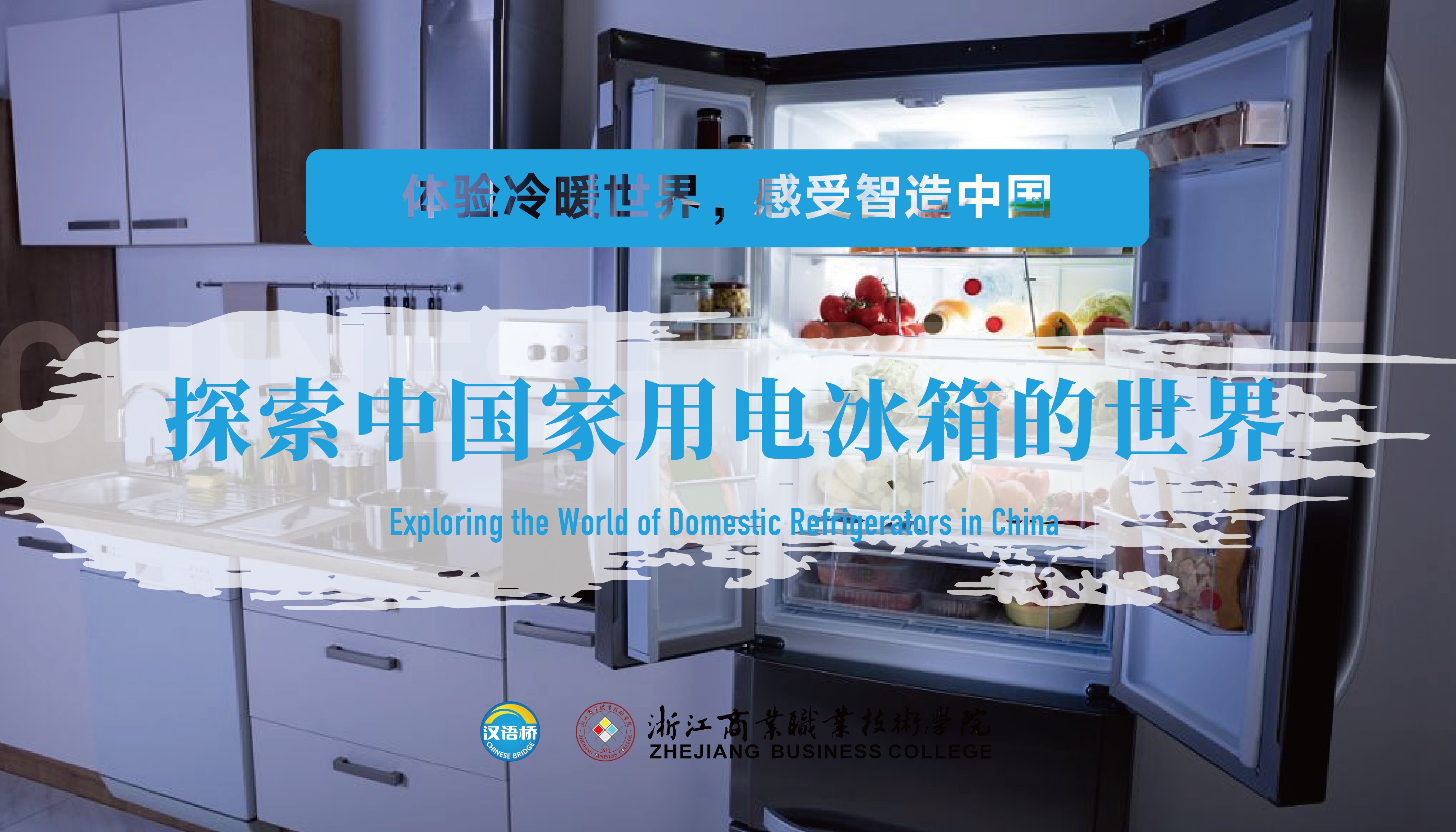 Exploring the World of Domestic Refrigerators in China