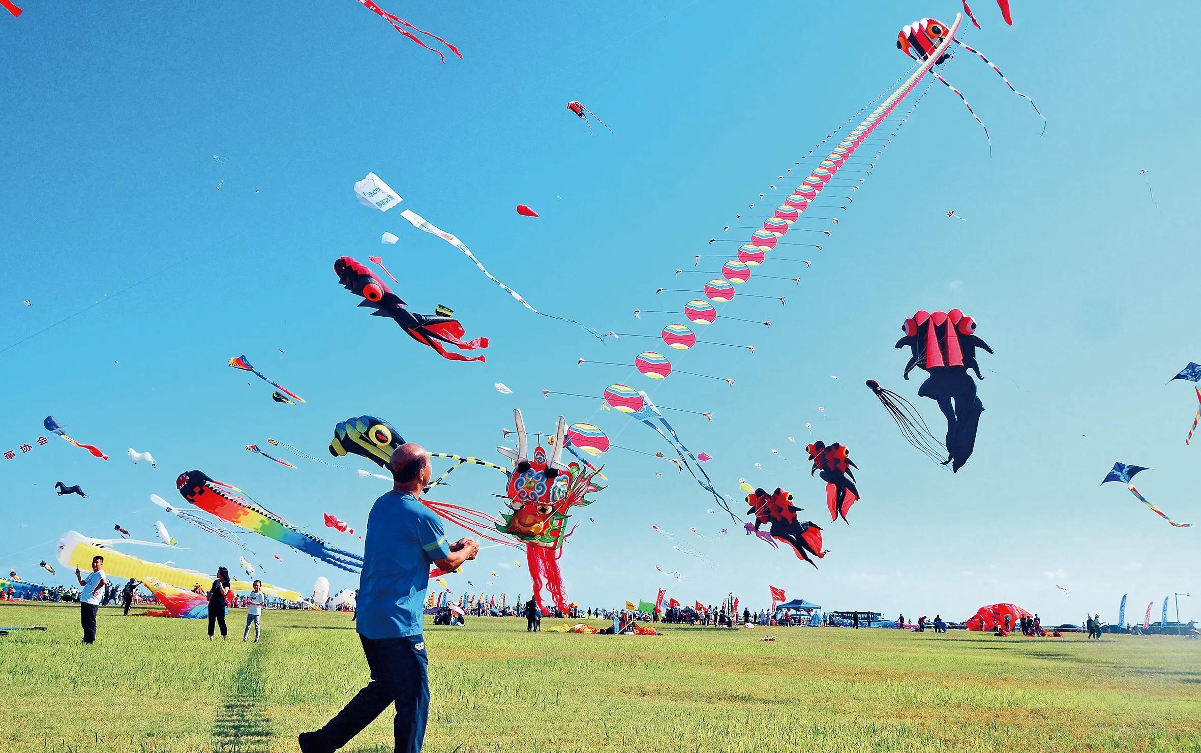 Chinese Traditional Culture—Kites