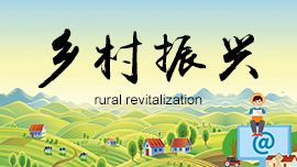 rural revitalization